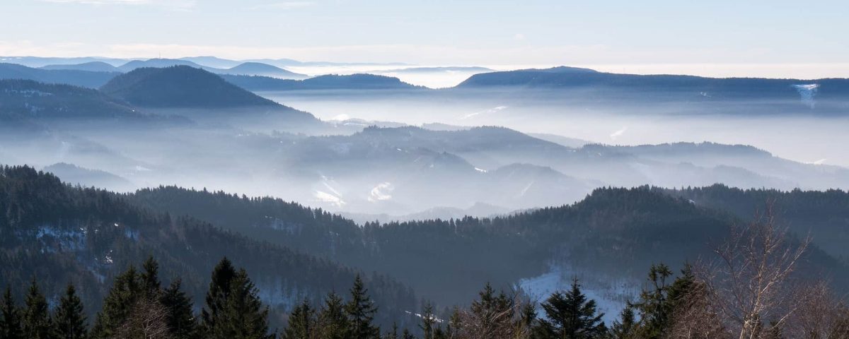 Schwarzwald im Dunst des anbrechenden Tages