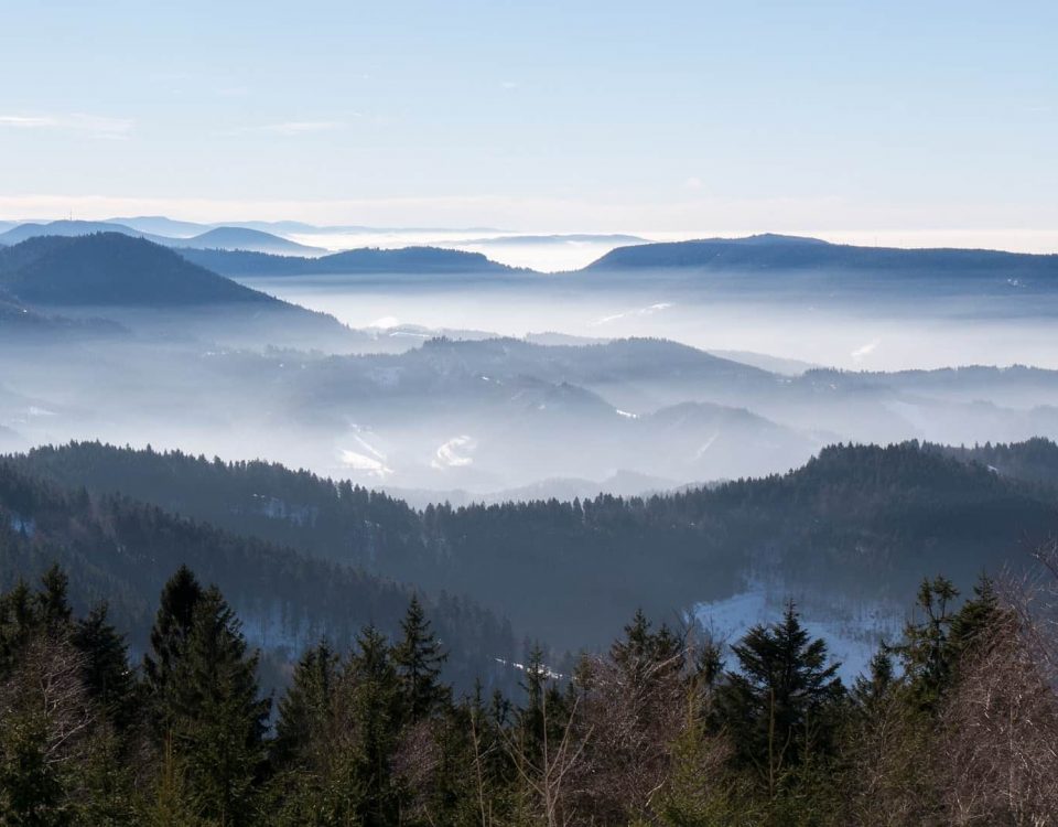 Schwarzwald im Dunst des anbrechenden Tages